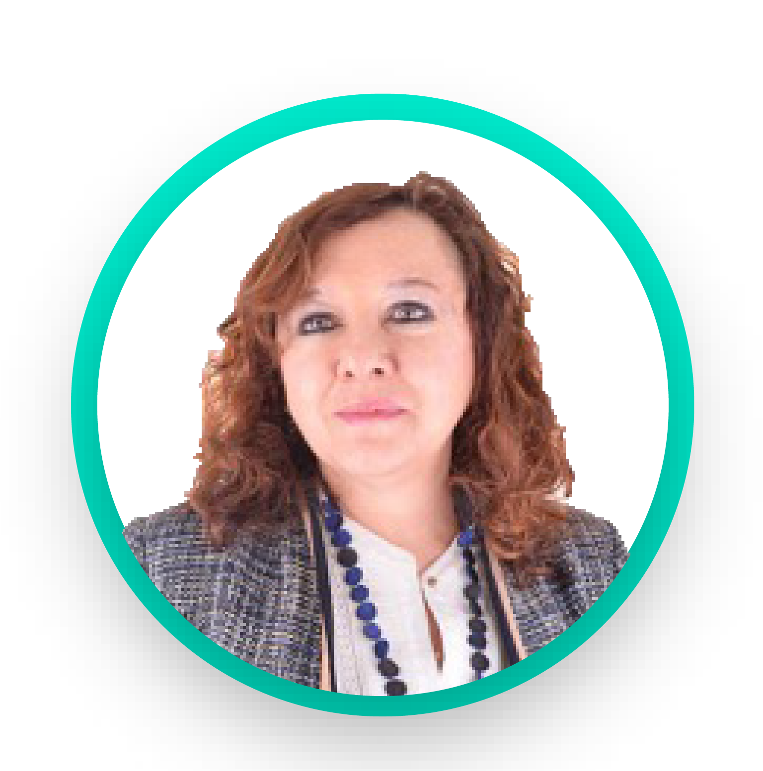 Descripción de la imagen